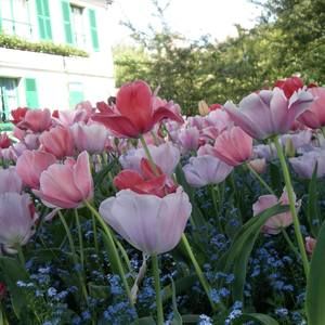 Meet your Posher, Sue